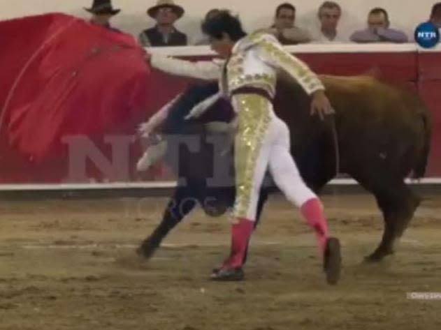 Bullfighter gored mid-fight in Mexico