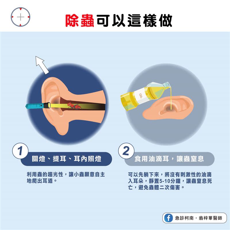 翁梓華建議，可以用「2招」除蟲。（圖／翻攝自翁梓華臉書）