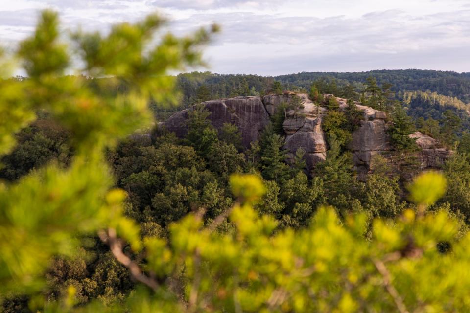 Red River Gorge