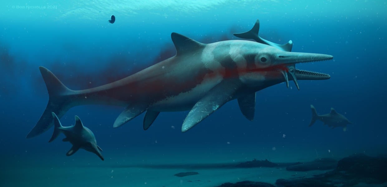 The ichthyosaurs had very large teeth and eyes (Bob Nicholls/Anglian Water/PA)