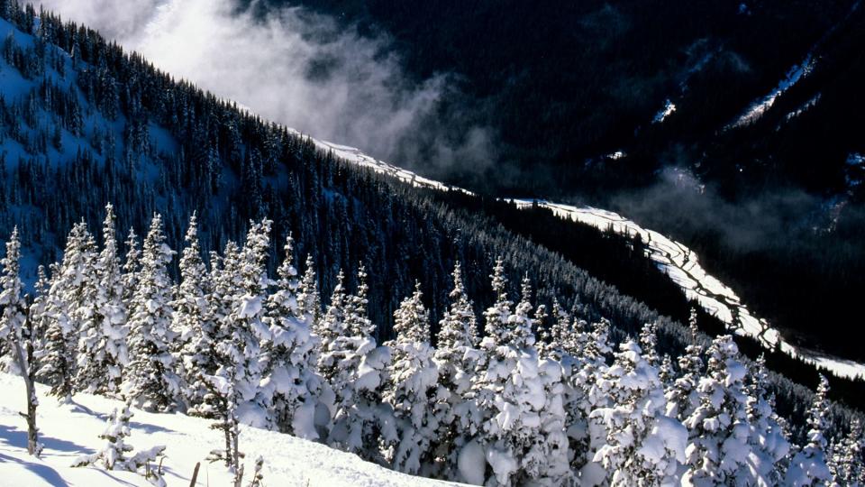 USA, Washington, Crystal Mountain Resort, View Of Mount Rainier.