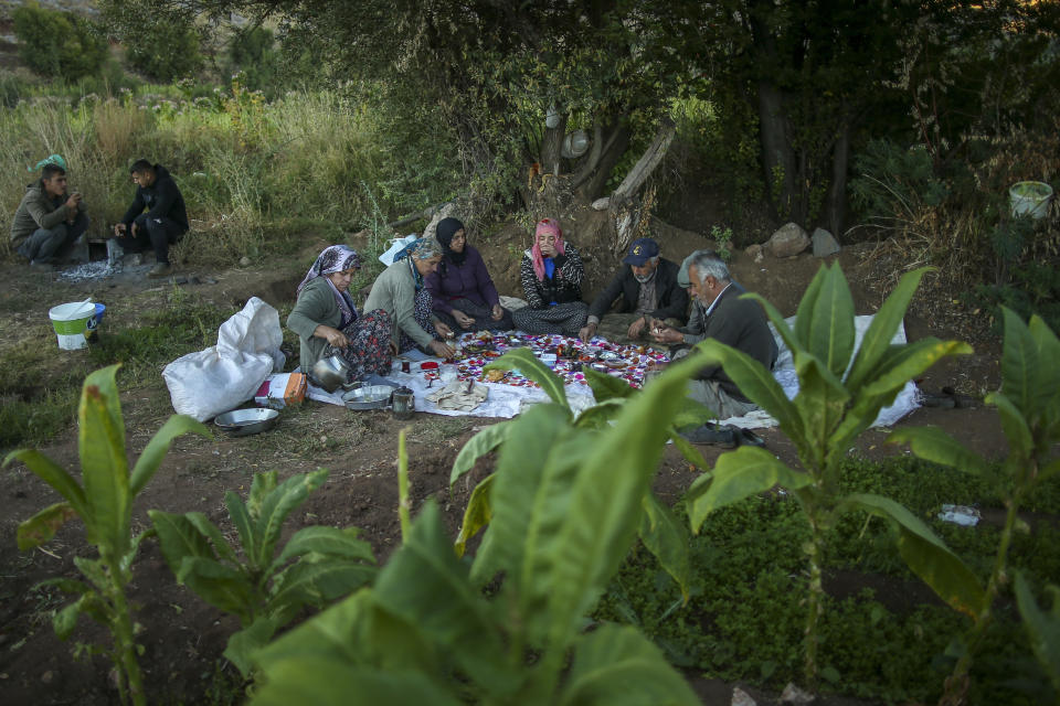 Workers have breakfast before collecting tobacco leaves in a field near Kurudere village, Adiyaman province, southeast Turkey, Wednesday, Sept. 28, 2022. Official data released Monday Oct. 3, 2022 shows consumer prices rise 83.45% from a year earlier, further hitting households already facing high energy, food and housing costs. Experts say the real rate of inflation is much higher than official statistics, at an eye-watering 186%. (AP Photo/Emrah Gurel)