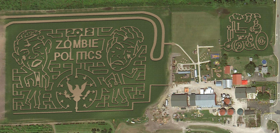 Obama and Romney corn maze at Illinois's Siegelwood's Cottonwood Pumpkin Farm