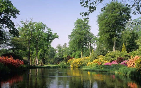 The pond in Savill Gardens, bordered by spring rhododendrons and azaleas - Credit: Alamy