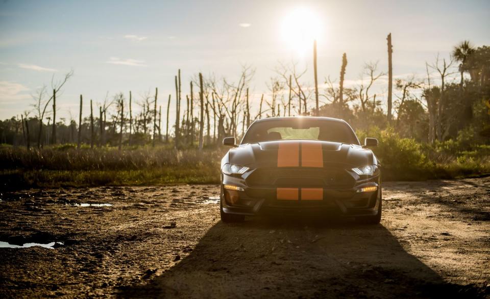 See Photos of the 2019 Ford Mustang Shelby GT-S