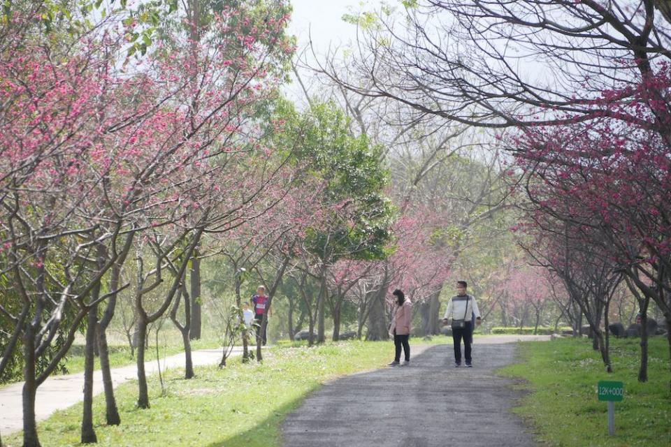 （圖片來源：新竹縣政府）