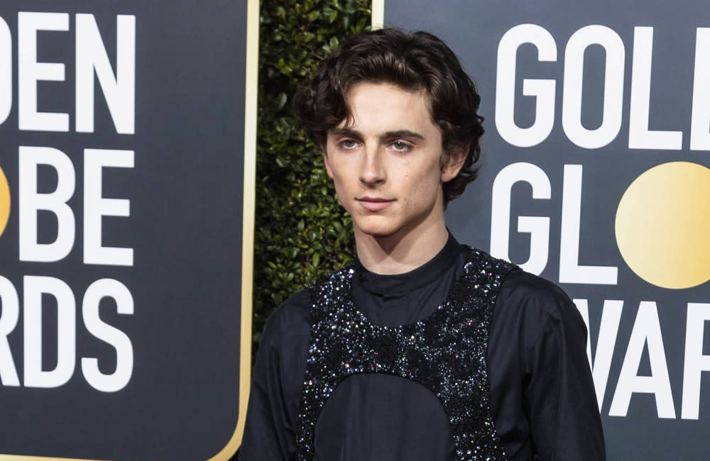 Timothée Chalamet was inspired by a superhero movie to start his acting career credit:Bang Showbiz