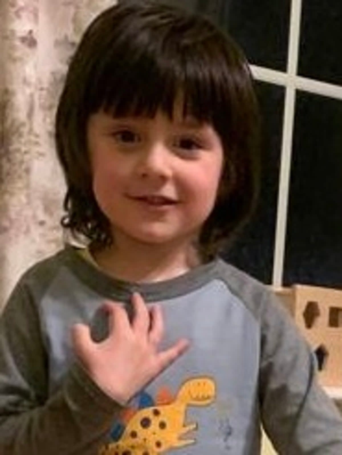 Daniel Klosi died of sepsis aged 4 (Irwin Mitchell)