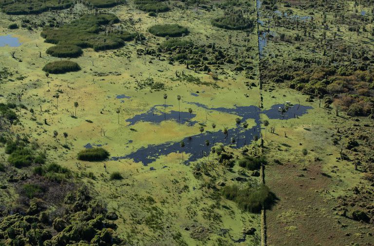 El Bañado La Estrella, mitad laguna, mitad monte inundado