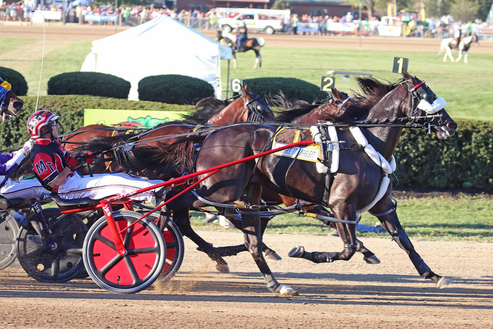 These horses had competition. Unlike one horse in a race in New York on Thursday. (AP)