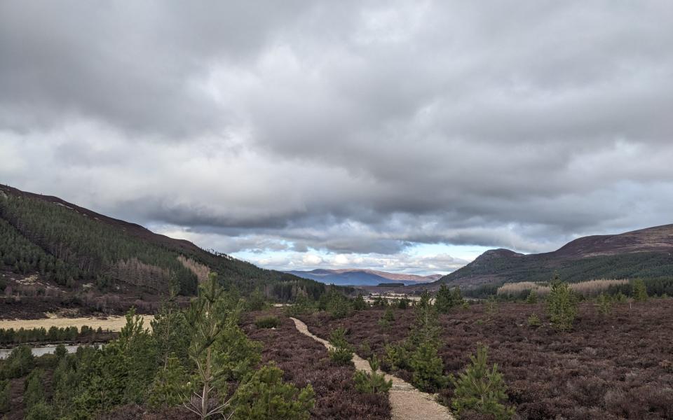 'I've plotted a 30km loop in Glenfeshie that has a mix of mountain, moorland, and forest'