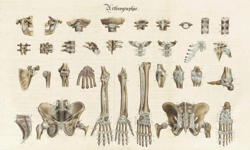 <span>Illustration: Science History Images/Alamy</span>