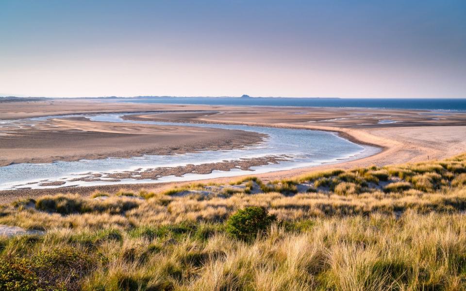 The mud flats at Budle Bay, part of the Lindisfarne National Nature Reserve - Istockphoto