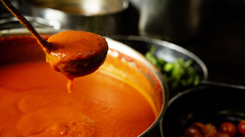 Ladle over pot of tomato sauce