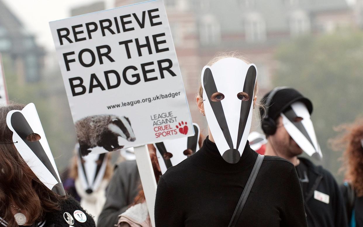 A Stop the Badger Cull Campaign protest in London - Eddie Mulholland