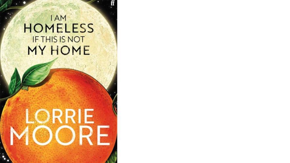 I Am Homeless If This Is Not My Home by Lorrie Moore