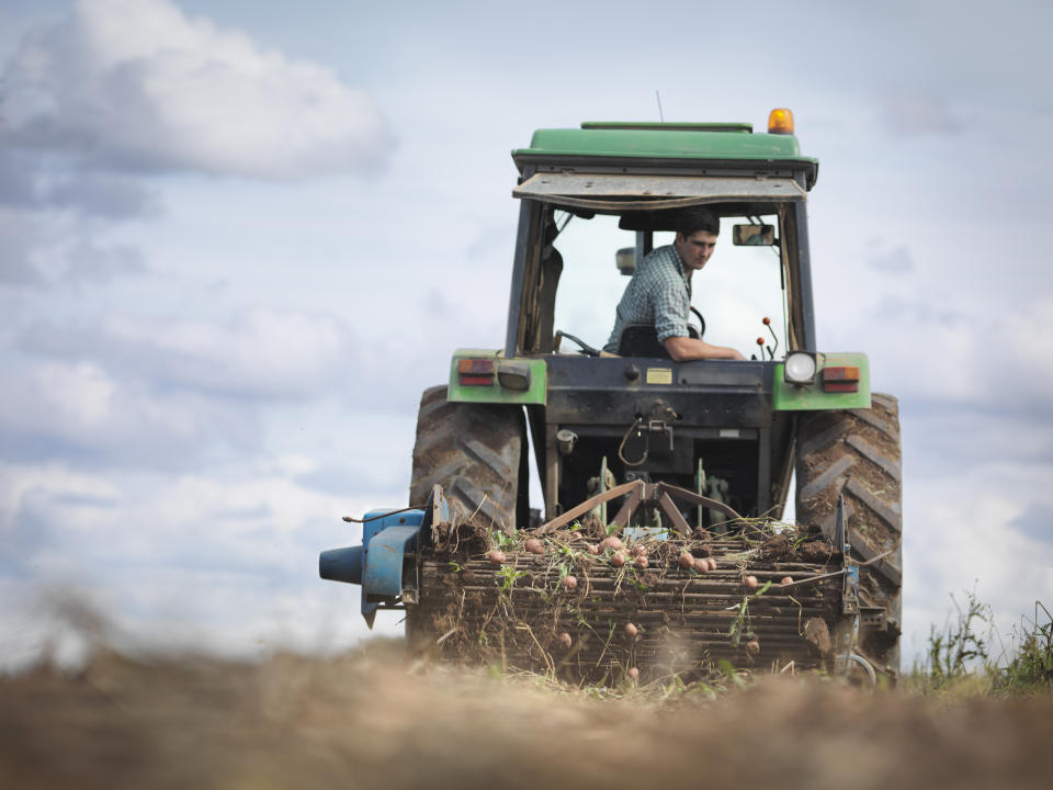 International trade secretary Liz Truss said the high quality of UK produce makes it highly competitive in the global marketplace. Photo: Getty Images