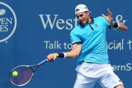 Aug 19, 2017; Mason, OH, USA; John Isner (USA) returns a shot against Grigor Dimitrov (ESP) during the Western and Southern Open at the Lindner Family Tennis Center. Mandatory Credit: Aaron Doster-USA TODAY Sports