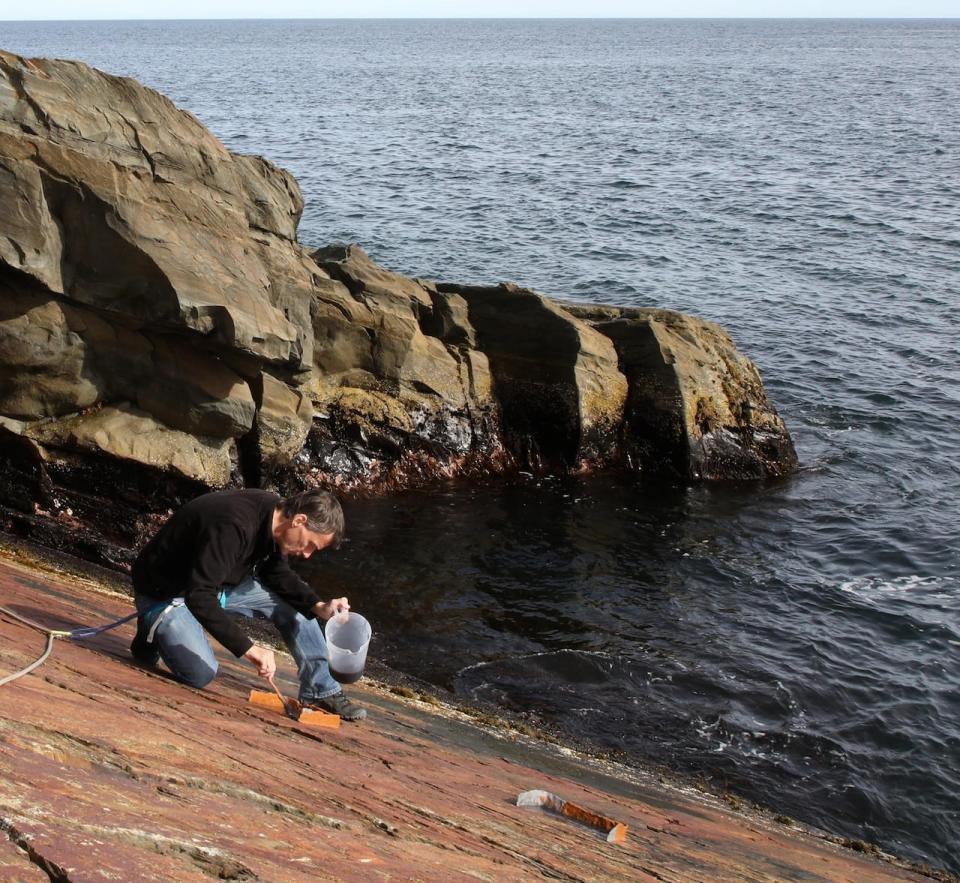 Rod Taylor casting the Mamsetia fossils on the MUN surface near Port Union.