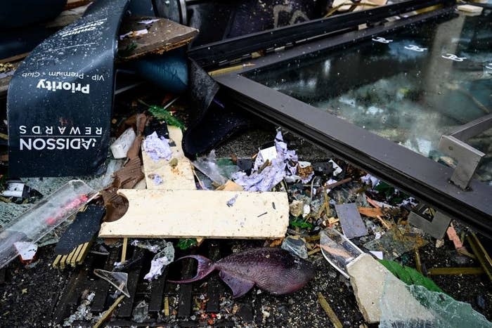 A dead fish lies in the debris in front of the hotel.