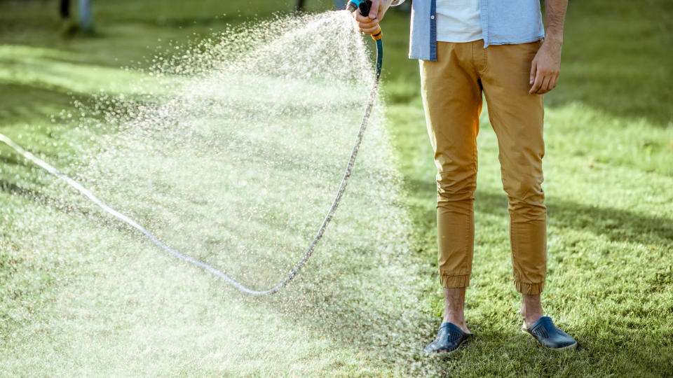 Man watering lawn