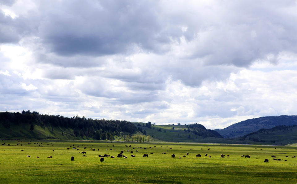 Views from America’s National Parks