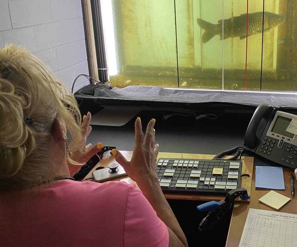 Debby Stallcop looks out her window at a fish swimming by.