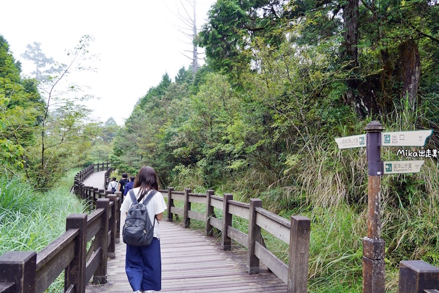 宜蘭｜太平山翠峰湖環山步道