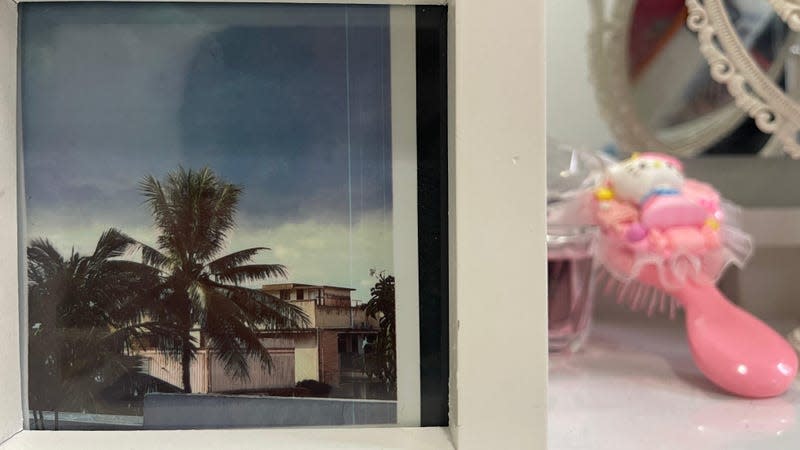 A photo of one of the pictures the Sprocket printed with unwanted lines on it. 