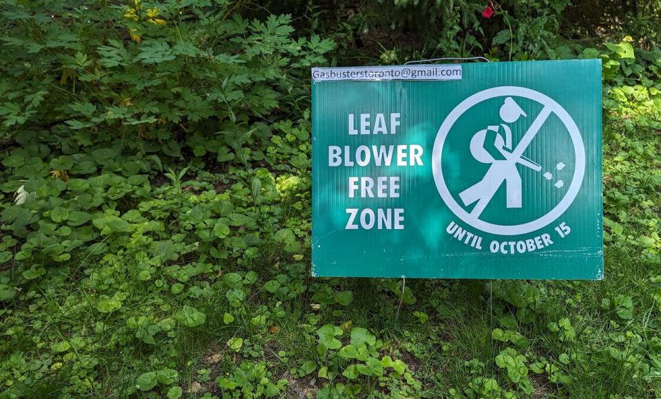 The City of Toronto is considering a ban on two-stroke engines used in landscaping equipment such as gas-powered leaf blowers. The ban is meant to reduce health impacts from noise and air pollution. (Tyler Cheese/CBC - image credit)