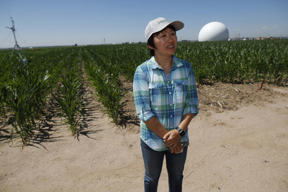 In this Thursday, July 11, 2019, photograph, Huihui Zhang of the United States Department of Afgriculture talks about efforts to use technology at a research farm northeast of Greeley, Colo. Researchers are using drones carrying imaging cameras over the fields in conjunction with stationary sensors connected to the internet to chart the growth of crops in an effort to integrate new technology into the age-old skill of farming. (AP Photo/David Zalubowski)