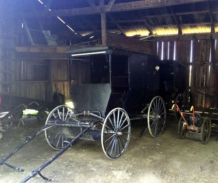 The horse-drawn carriage used by Kathryn and Raymond Miller to travel is pictured in Bergholz, Ohio June 6, 2014. REUTERS/Kim Palmer