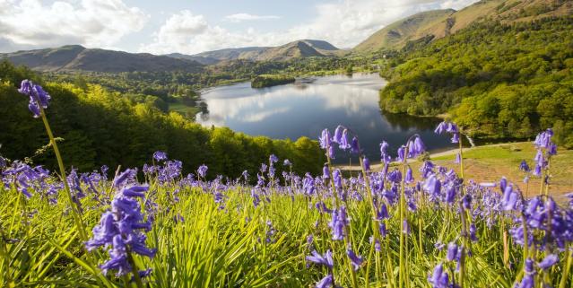 The first day of spring is here. Here's what you should know about