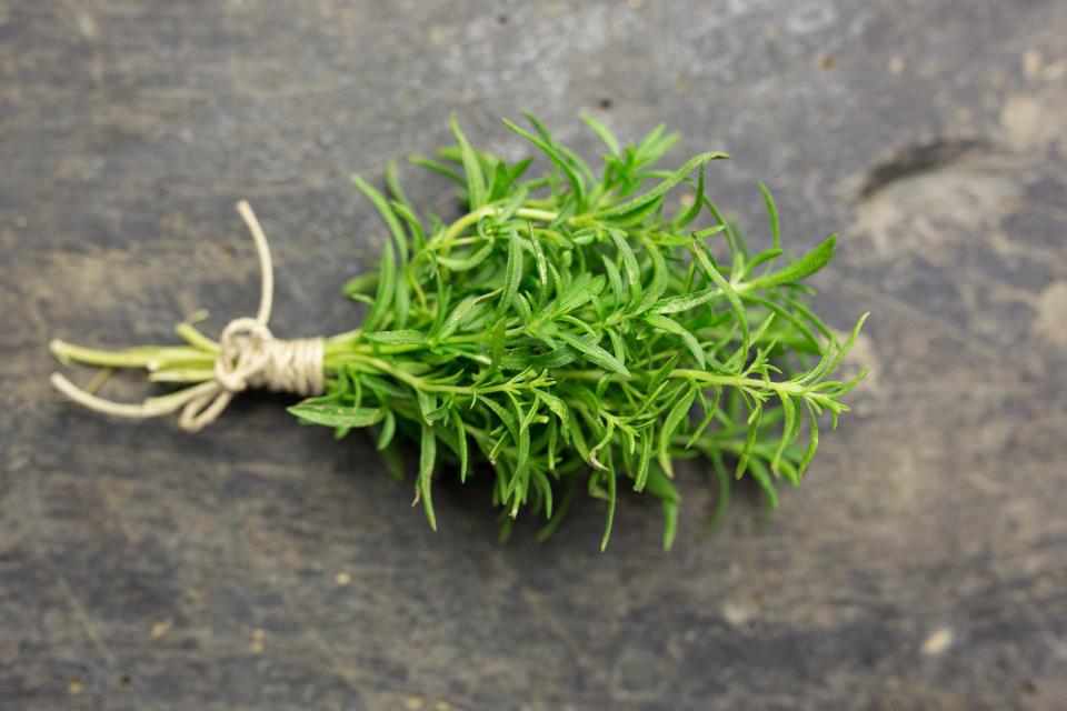 <h1 class="title">Summer Savory</h1><cite class="credit">Photo by Shutterstock</cite>