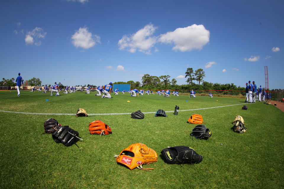 Field of gloves