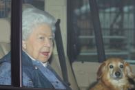 <p>Queen Elizabeth brought a pup with her when she left London amid concerns over the novel coronavirus and <a href="https://www.townandcountrymag.com/society/tradition/a31783047/queen-elizabeth-windsor-castle-leave-dorgis-coronavirus/" rel="nofollow noopener" target="_blank" data-ylk="slk:headed to Windsor Castle;elm:context_link;itc:0;sec:content-canvas" class="link ">headed to Windsor Castle</a> for the foreseeable future. </p>