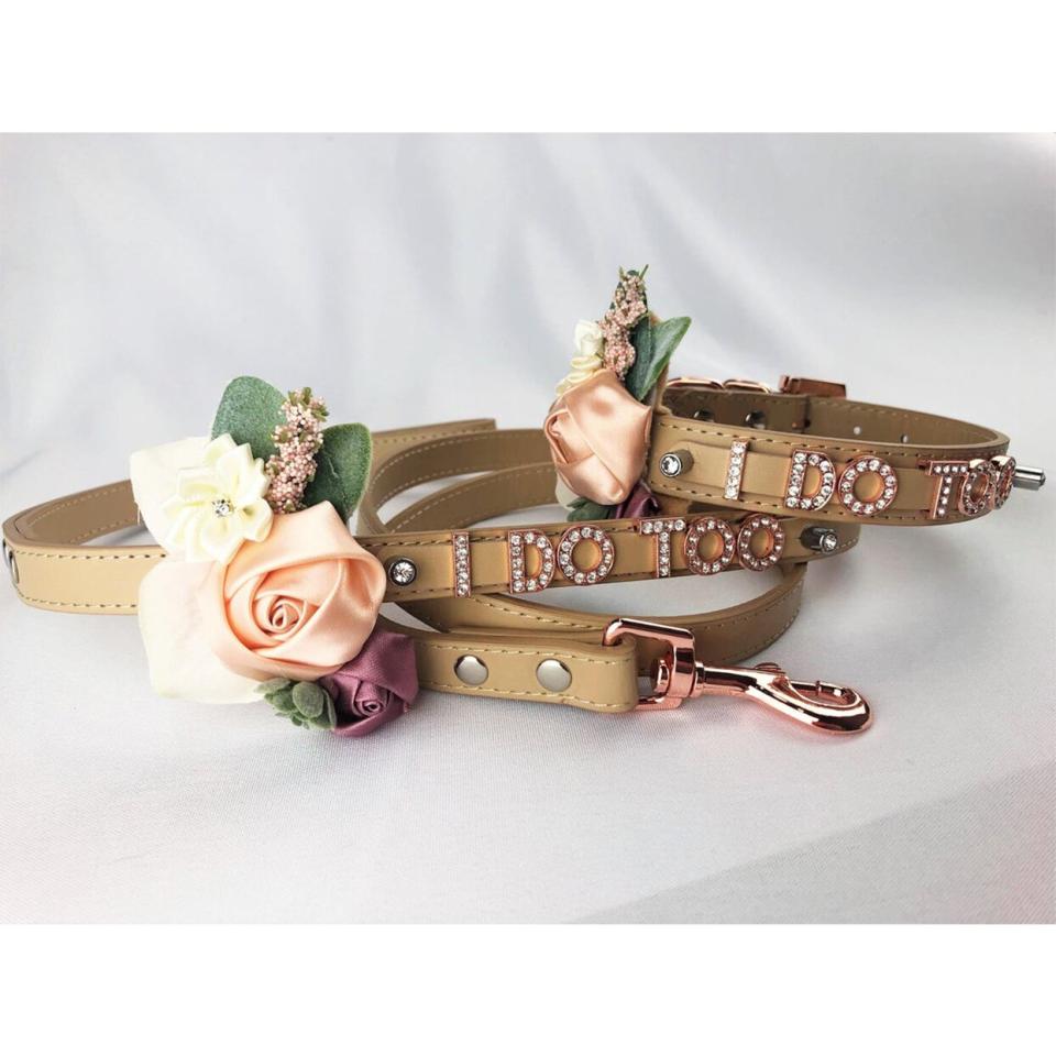 dog wedding collar