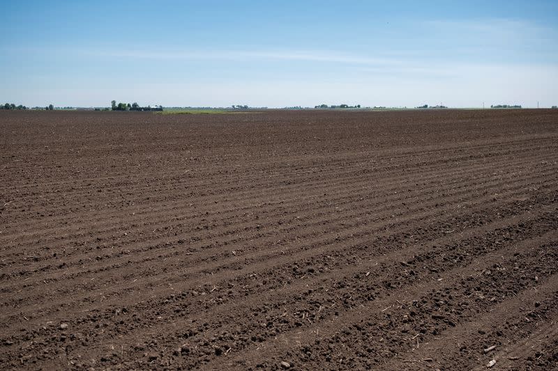 Facing low prices for all crops, U.S. farmers eye soy planting expansion