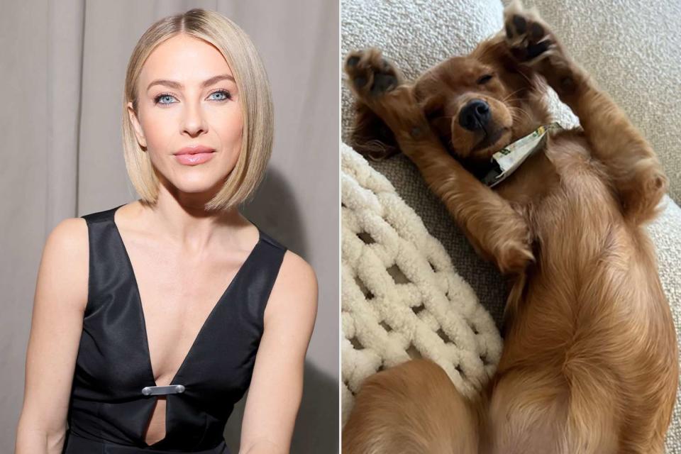 <p>Getty;Julianne Hough/Instagram</p> Julianne Hough and her new dog, Sunny