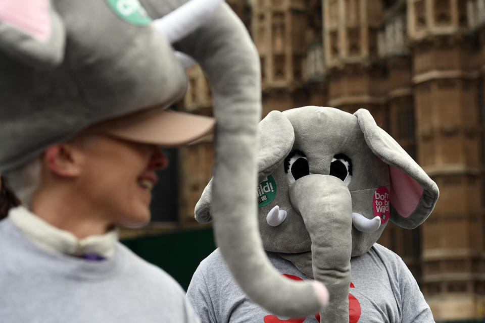 Protest against the international ivory trade