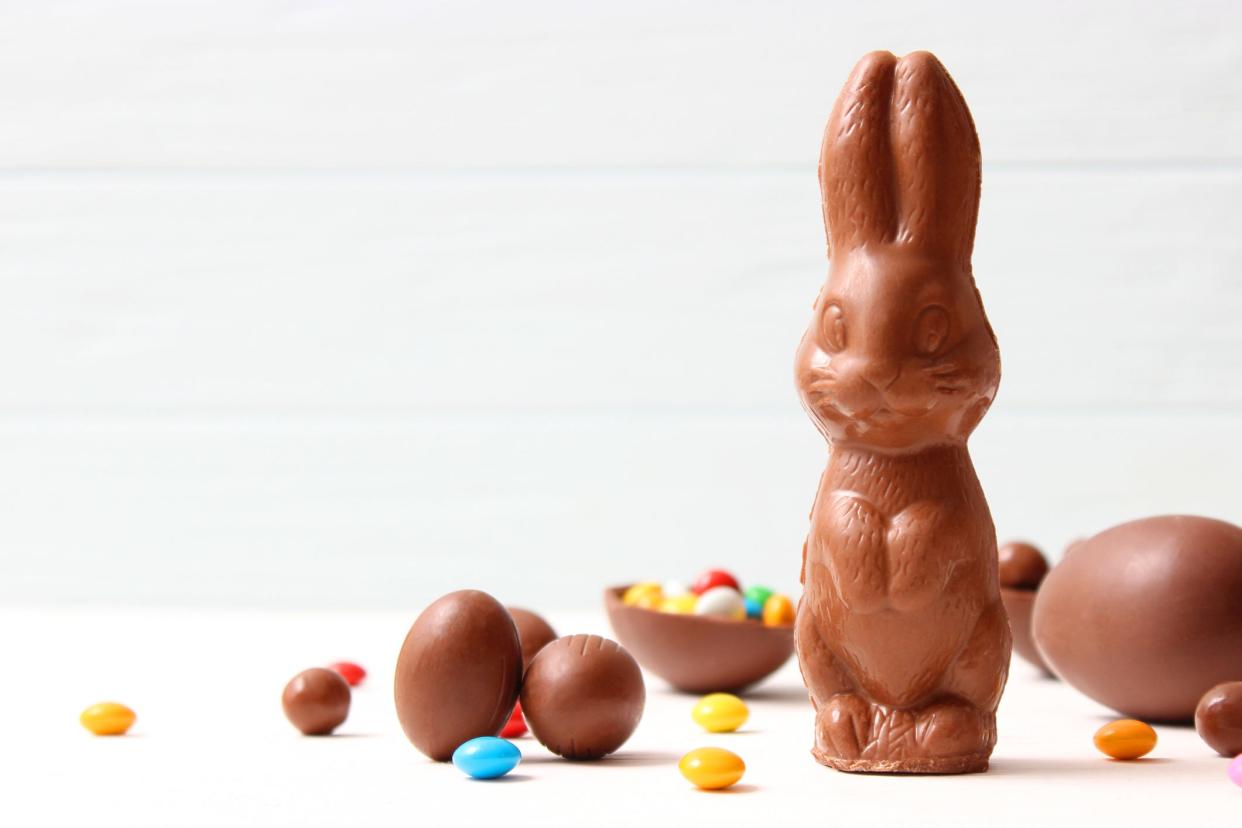 Chocolate is particularly dangerous to cats and dogs but other candies can also make pet sick.
