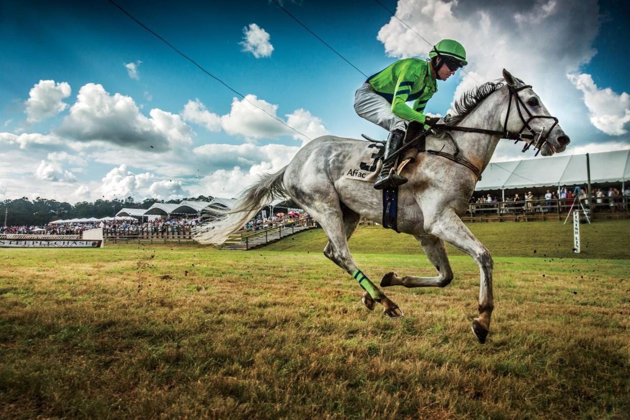 Horse 3 Racing at Callaway Gardens Steeplechase