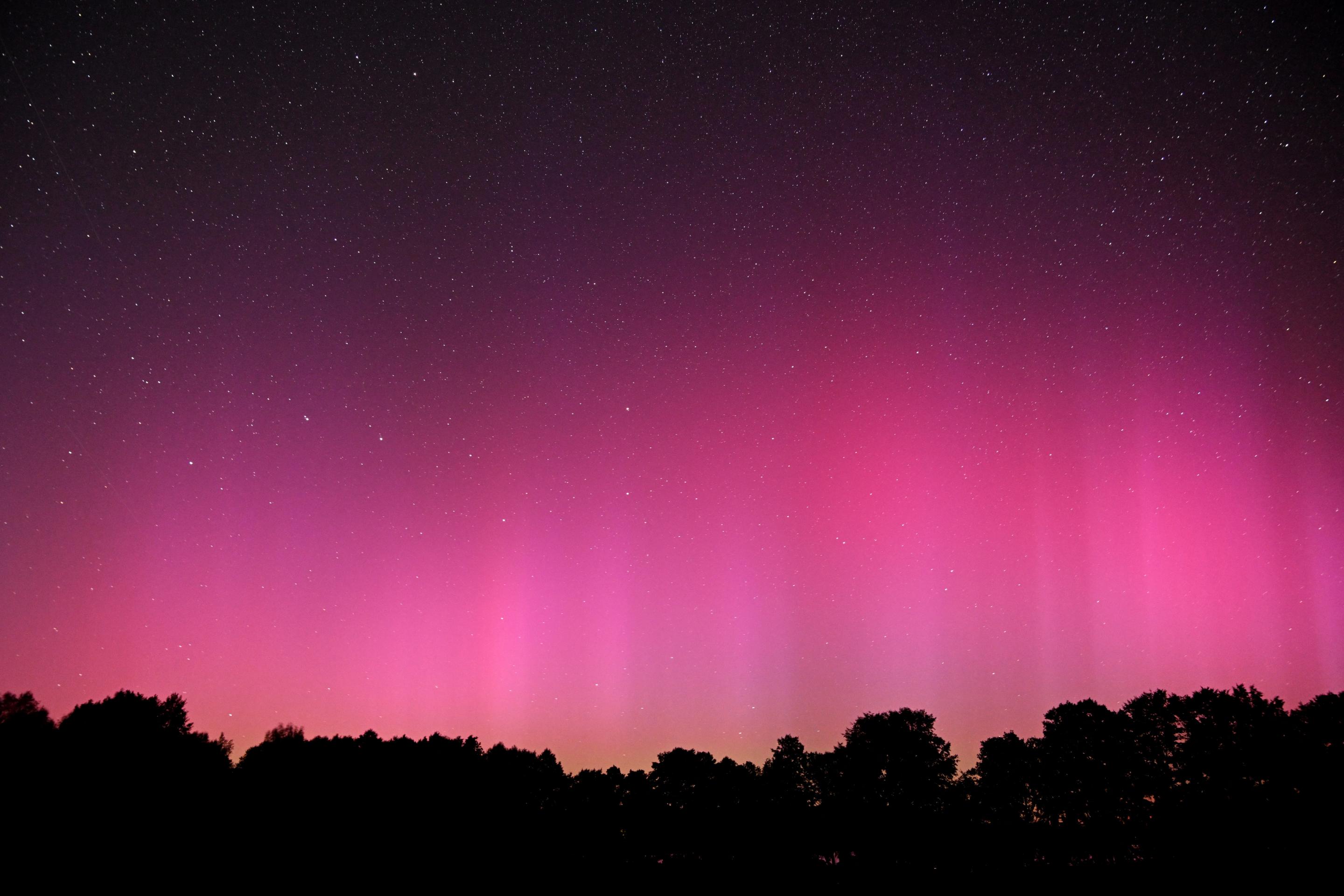 The northern lights illuminate the sky above a field in the Suwalki region of Poland.