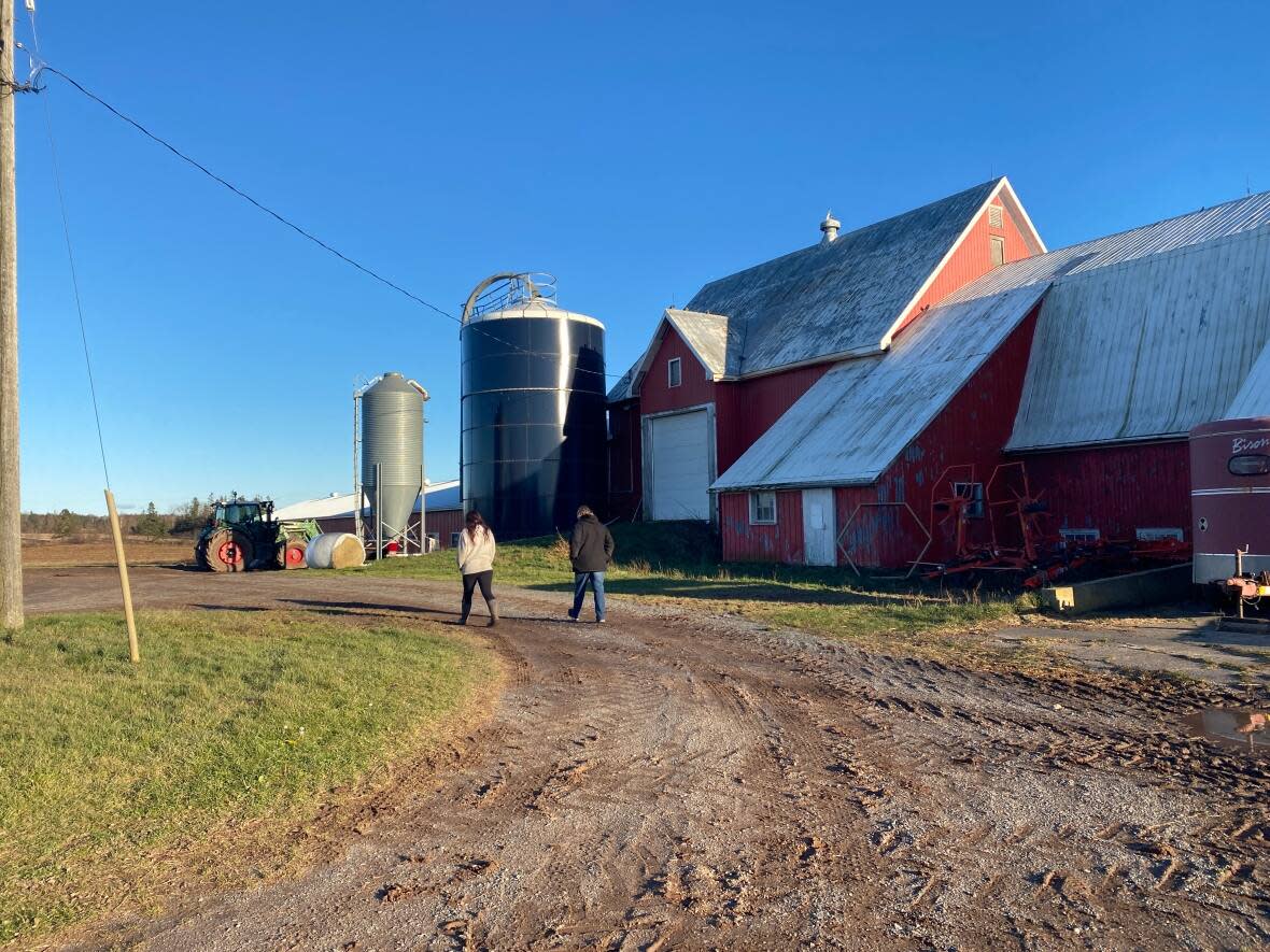 Elizabeth Crowe, left, and her mother, Anne Crowe, walk through their dairy farm in Burntcoat, N.S., on Nov. 29, 2022. (Haley Ryan/CBC - image credit)