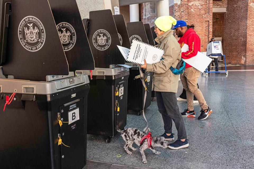 A dog shakes itself dry while voters cast their votes on Nov. 8, 2022, in New York City.