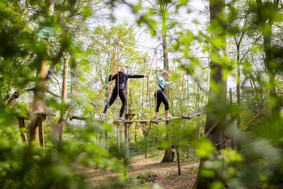 Go Ape is on site (Four Seasons Hampshire)