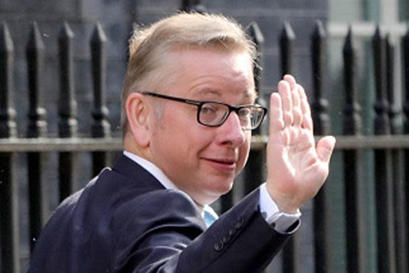 Birthday boy: Michael Gove (Photo by Christopher Furlong/Getty Images) (Getty Images)