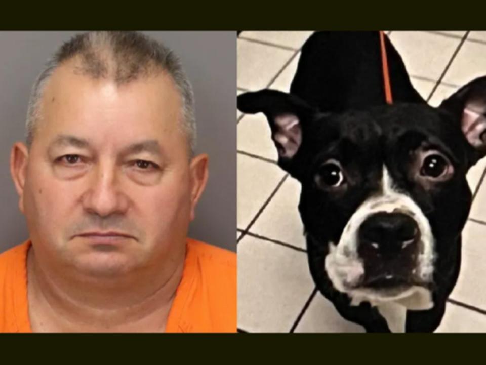 Domingo R Rodriquez has been charged with felony animal cruelty after allegedly decapitating and disposing of a 4-year-old dog, Dexter, in Fort DeSoto Park in Pinellas County, Florida (Pinellas County Sheriff’s Office)