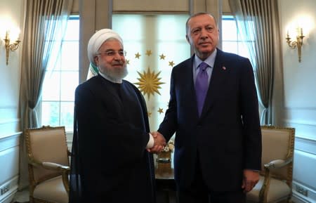 Turkish President Erdogan meets with his Iranian counterpart Rouhani in Ankara