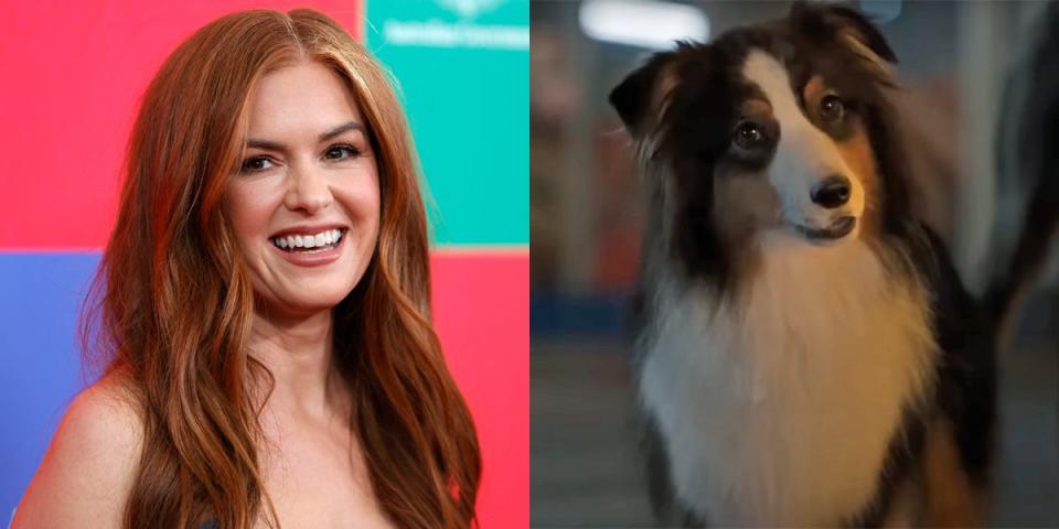 Isla Fisher voices a character in "Strays."